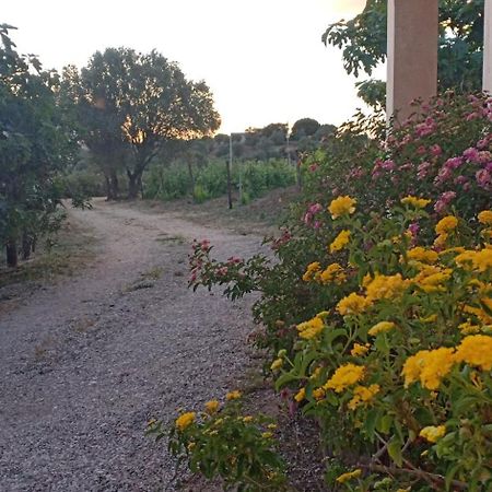 Willa Agriturismo Muristene Dorgali Zewnętrze zdjęcie