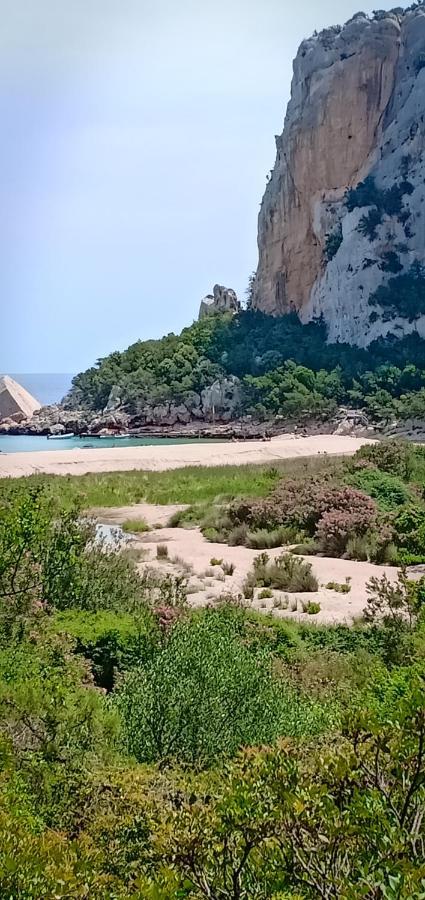 Willa Agriturismo Muristene Dorgali Zewnętrze zdjęcie