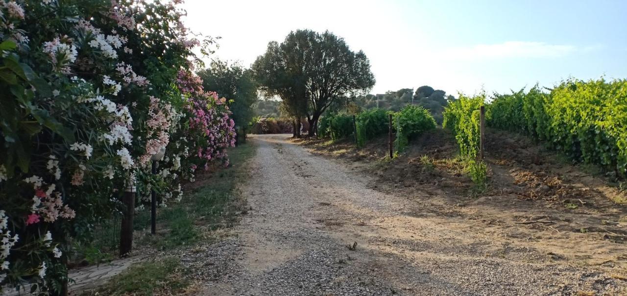 Willa Agriturismo Muristene Dorgali Zewnętrze zdjęcie