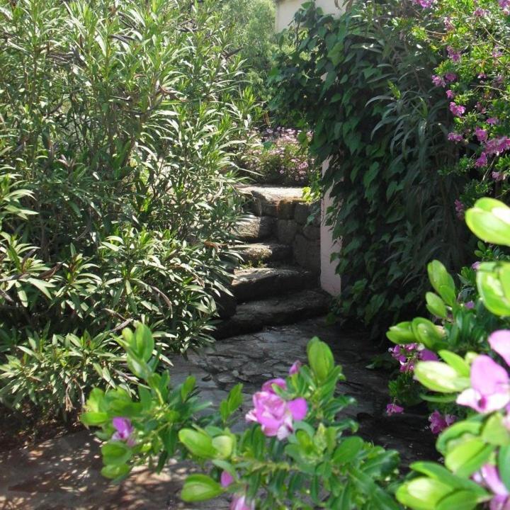 Willa Agriturismo Muristene Dorgali Zewnętrze zdjęcie